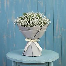 Букет цветов из:  Гипсофила в Посёлок Гжельского кирпичного завода