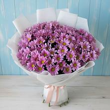 Букет цветов из:  Хризантемы в Посёлок Гжельского кирпичного завода