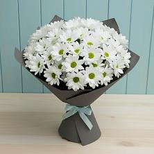 Букет цветов из:  Хризантемы в Посёлок Гжельского кирпичного завода