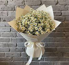 Букет цветов из:  Ромашки в Посёлок Гжельского кирпичного завода
