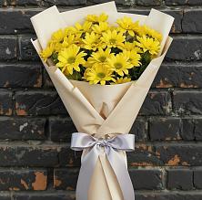 Букет цветов из:  Хризантемы в Посёлок Гжельского кирпичного завода