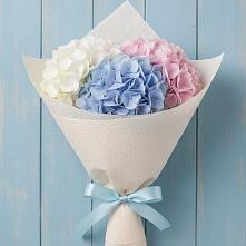 Букет цветов из:  Гортензия в Посёлок Гжельского кирпичного завода