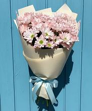 Букет цветов из:  Хризантемы в Посёлок Гжельского кирпичного завода