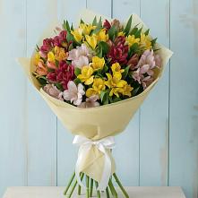 Букет цветов из:  Альстромерии в Посёлок Гжельского кирпичного завода