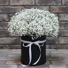 Цветочная композиция из Гипсофила в шляпной коробке в Посёлок Гжельского кирпичного завода