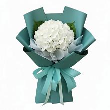 Букет цветов из:  Гортензия в Посёлок Гжельского кирпичного завода